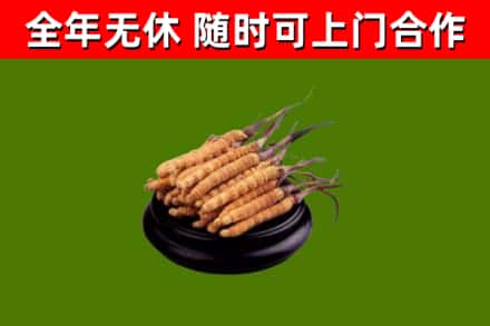 长治市烟酒回收冬虫夏草.jpg