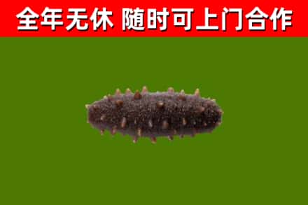长治市烟酒回收干海参.jpg
